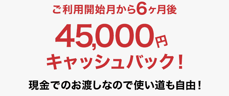 【NURO光 契約特典・キャンペーン】45,000円キャッシュバック